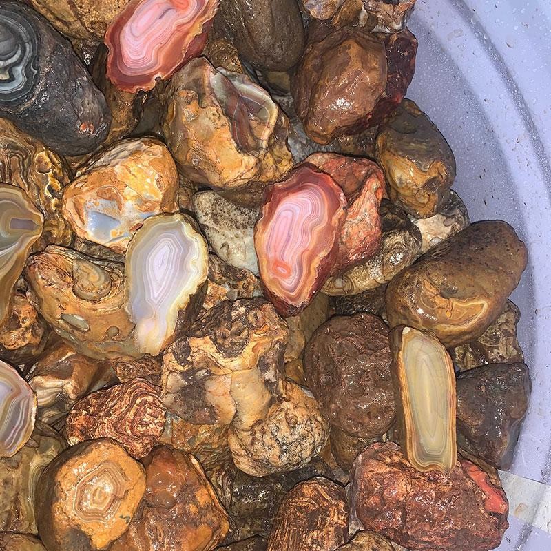 Island Agate #1 Medium (Price per pound)