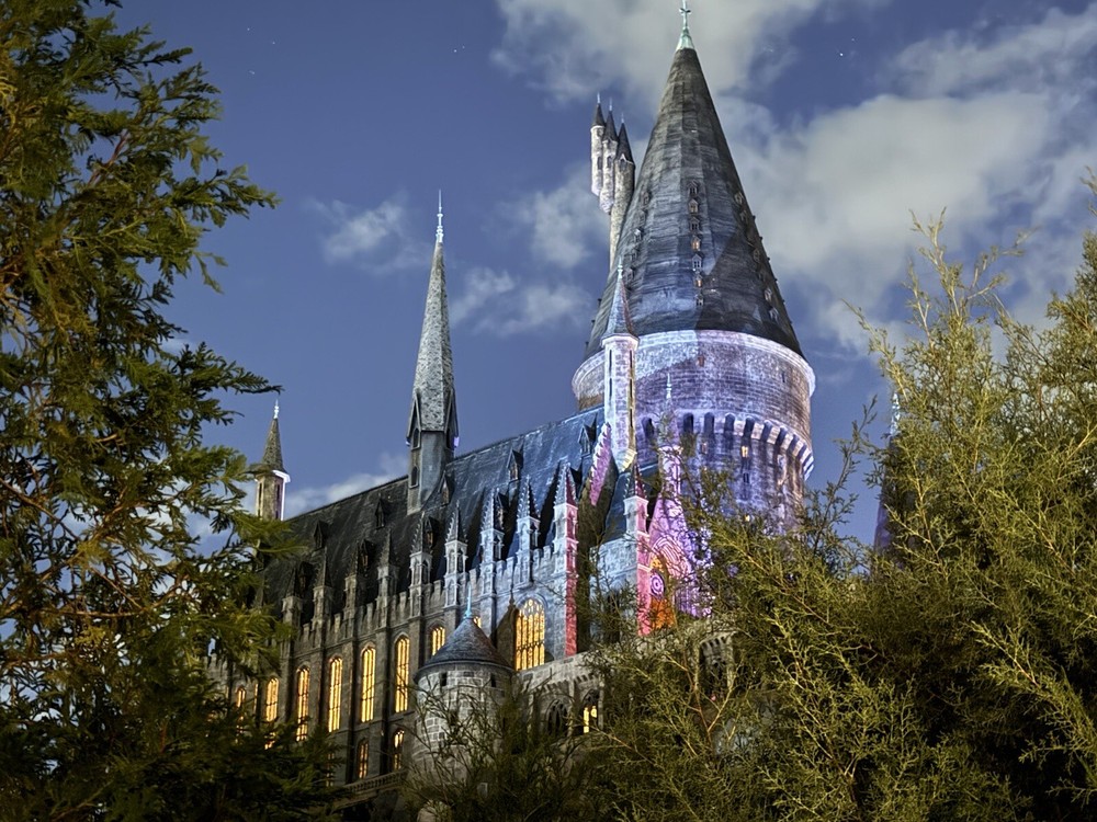 Travel Professional - Book Vacations For Commission