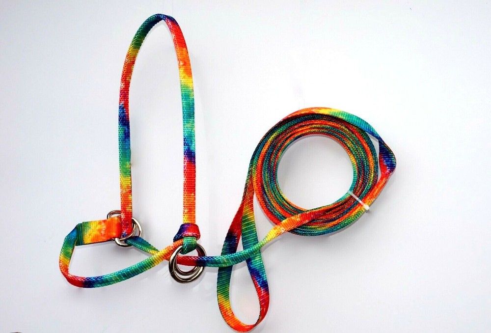 Halter All Extra Small Miniature Foal, Mini Adjustable Slip Lead PATTERN USA
