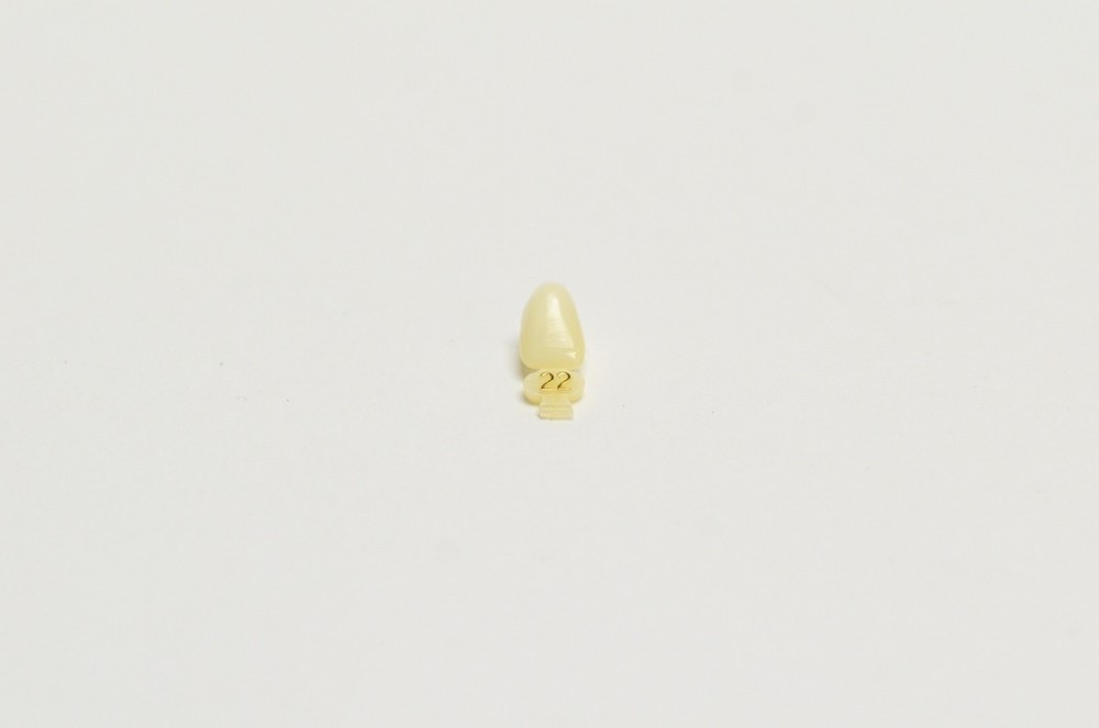DENTAL POLYCARBONATE TEMPORARY CROWNS #22 (URL) UPPER RIGHT LATERAL 5/PACK