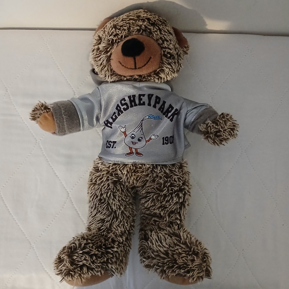 Hershey Park bear from 2015