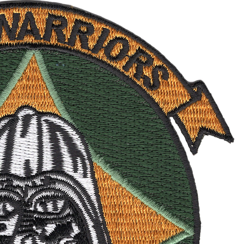 VAQ-209 Carrier Tactical Electronics Warfare Squadron Patch