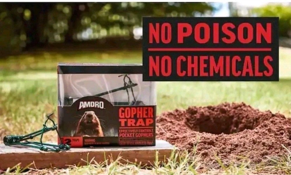 AMDRO Gopher Trap Twin-Pack Bundle! 4 Traps! No ☠️ Needed!