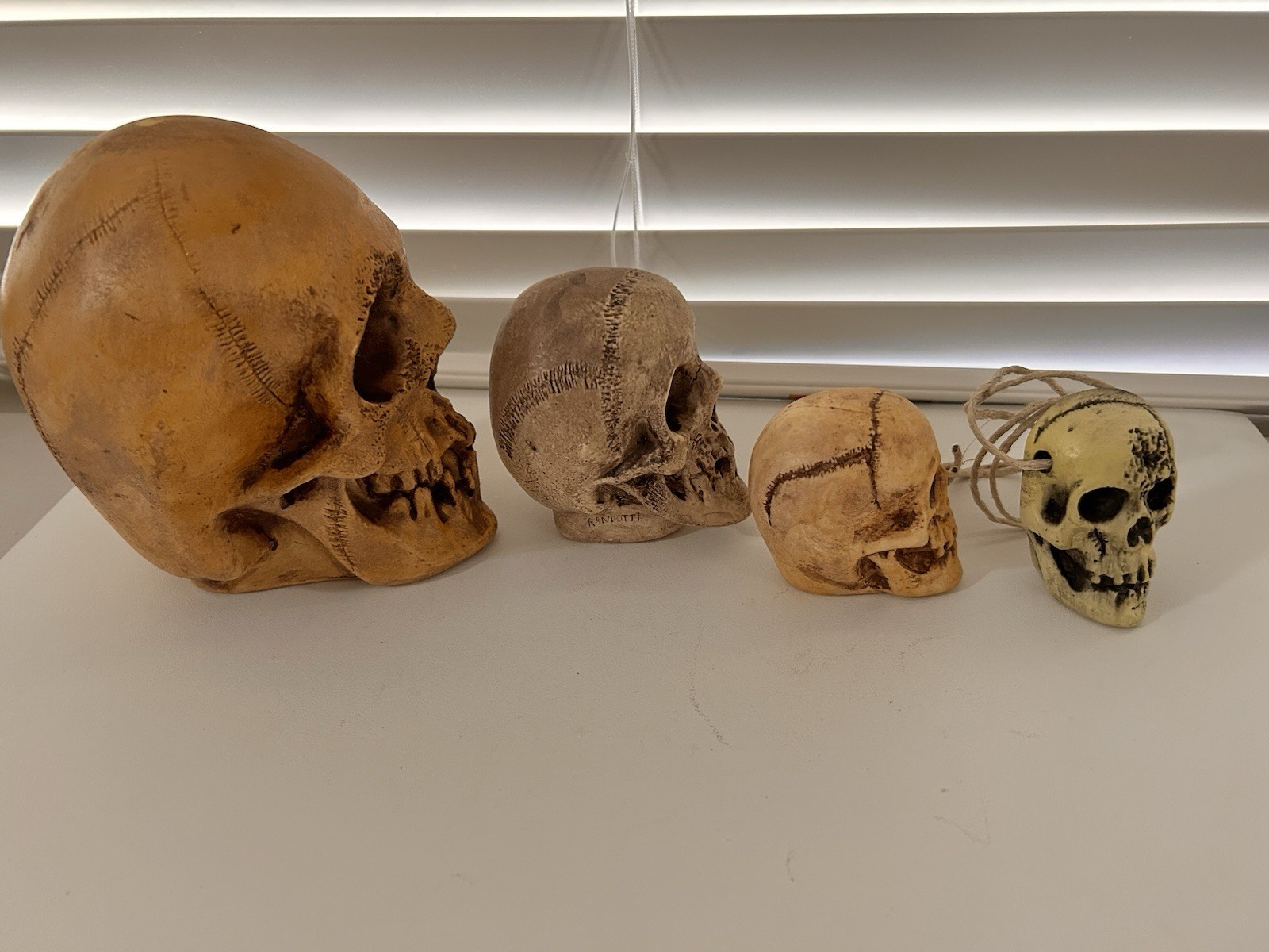 4 EA. RANDOTTI ORIGINALS LARGE, MEDIUM, PIXIE,& FLAT BACK PIXIE SKULLS ALL GLOW