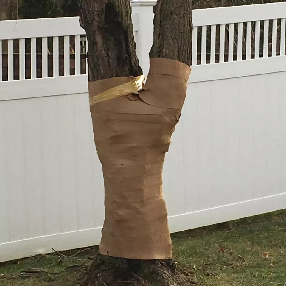 4In X 164Ft Tree Protector Wrap, Paper Tree Wrap Rolls Breathable Tree Trunk Pro