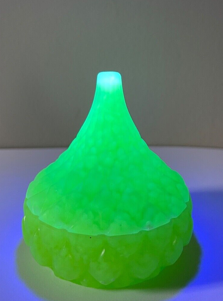 IT GLOWS UV REACTIVE Luminous Fluorescent container planter ring holder GLOWS!