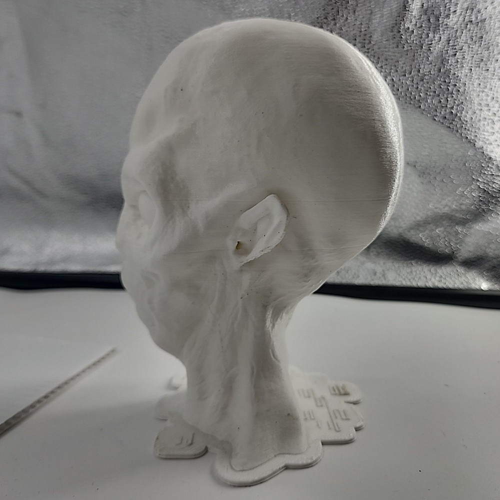 3D Printed Alien Head [109]