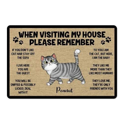 Please Remember When Visiting Cats House Cat Doormat Welcome Mat Long Hair Cat