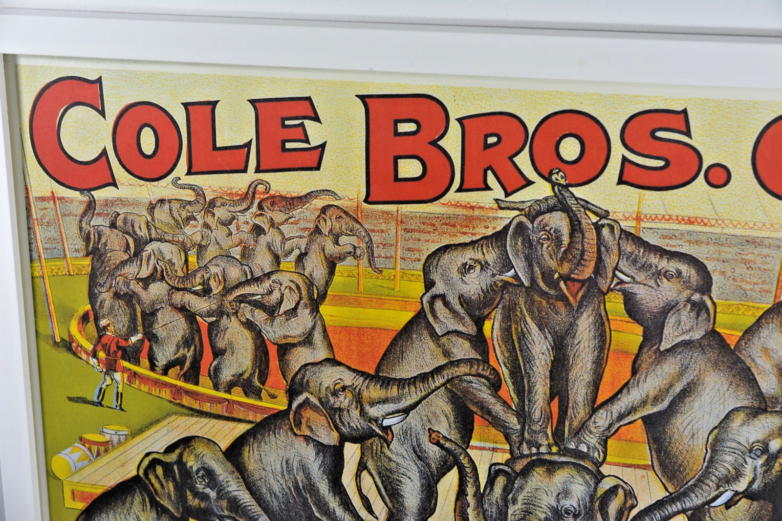 Cole Bros Circus Elephant Poster 1990s French Reproduction Professionally Framed