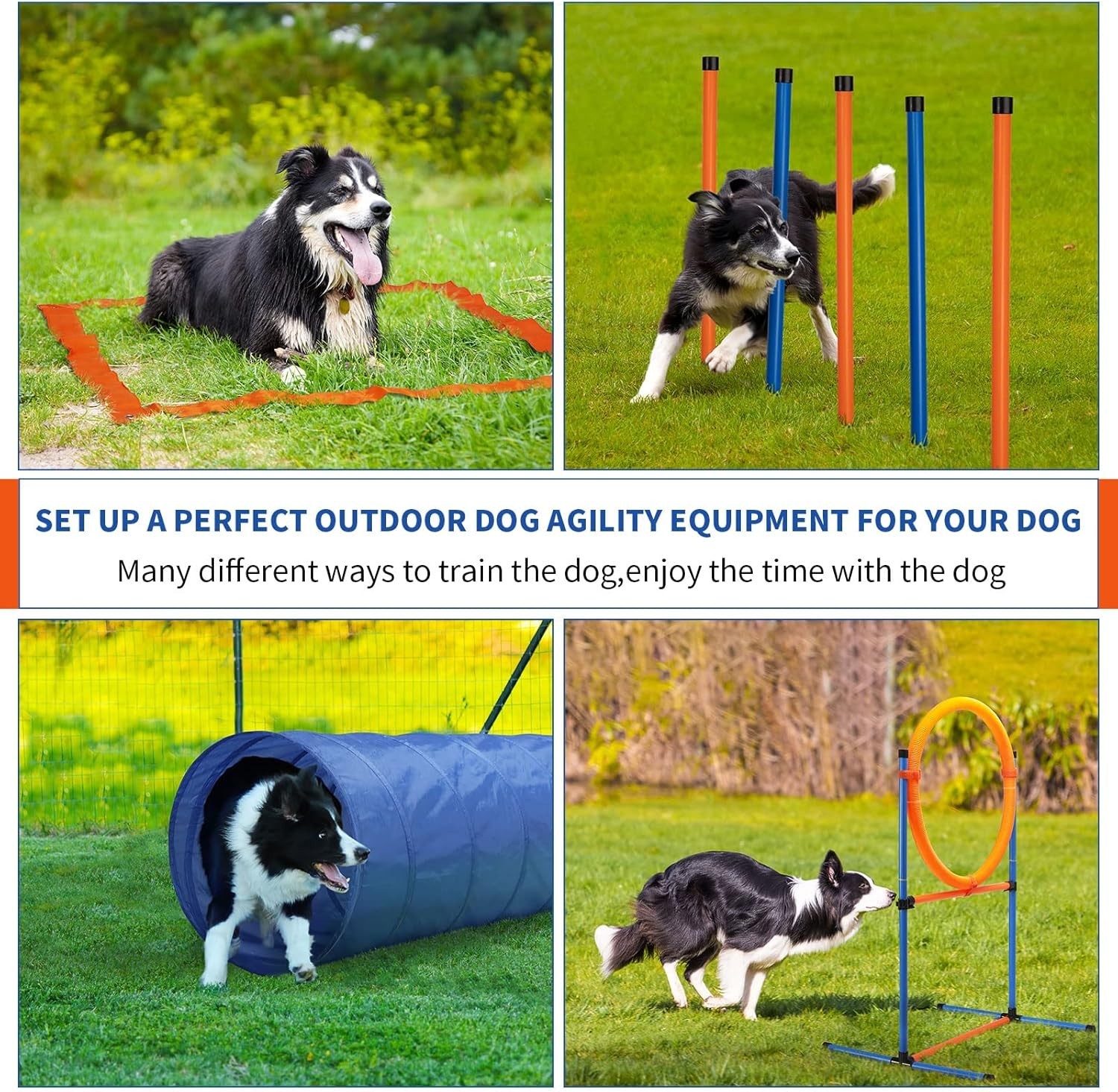 Durable Dog Agility Training Equipment Set - 60 Pieces for All Dog Sizes