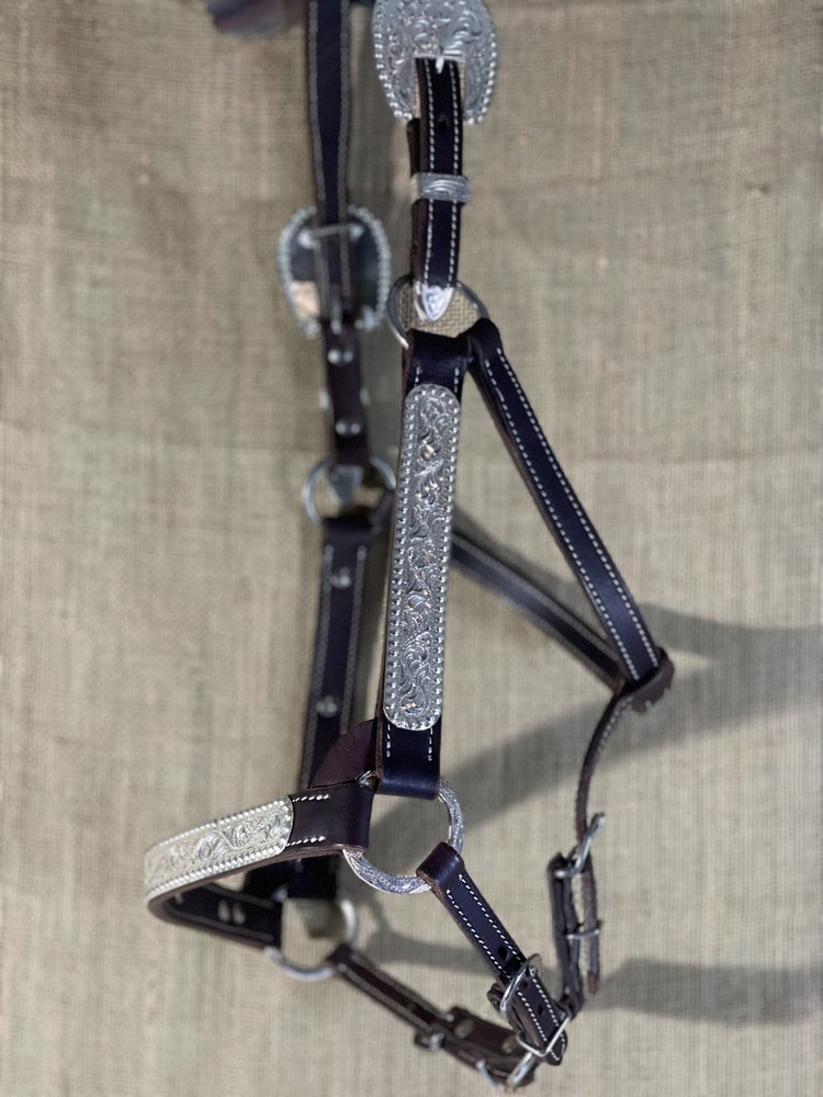 Hudson Show Halter-Yearling