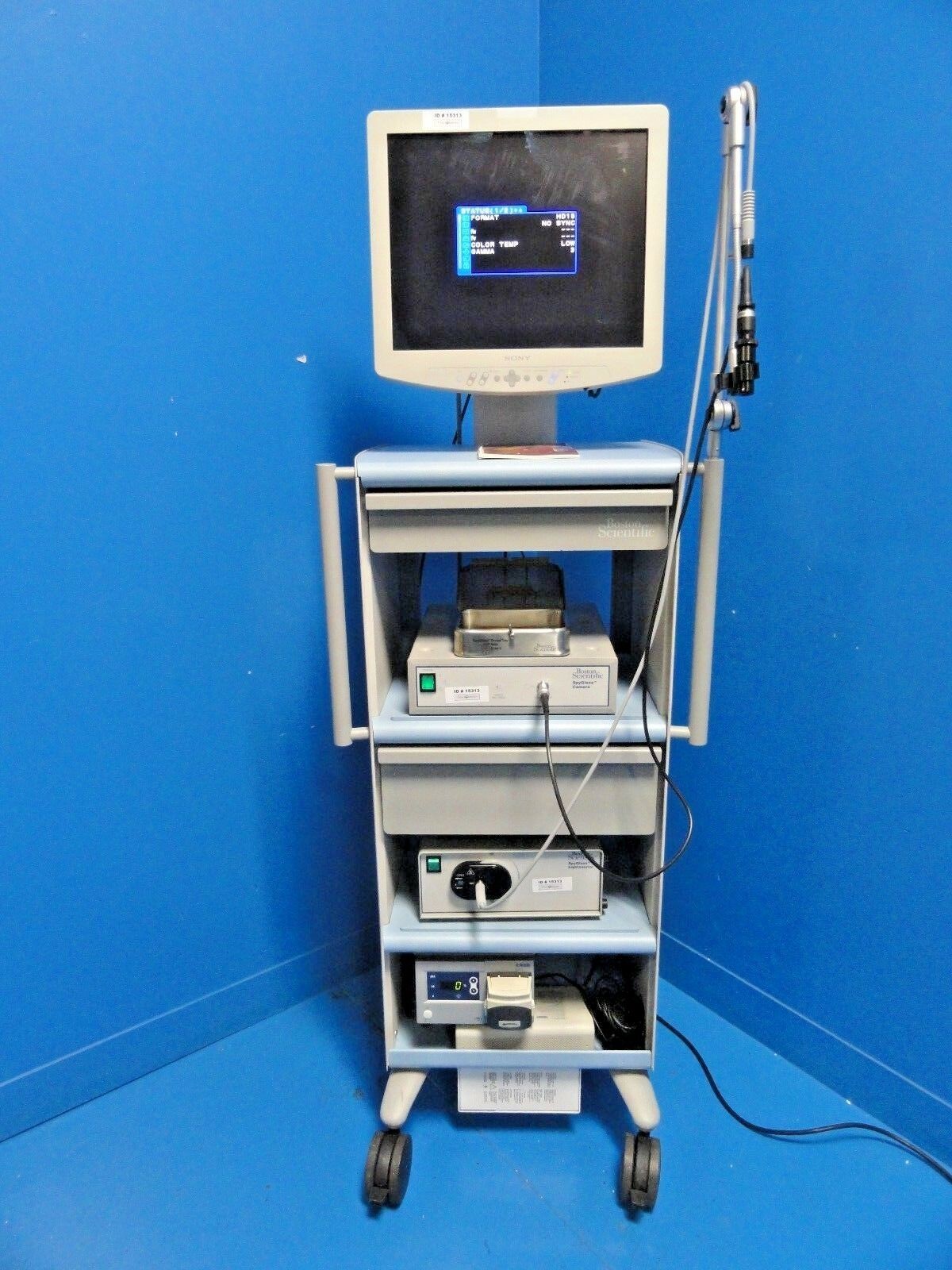 2011 Boston Scientific Spyglass Direct Visualization ~15313