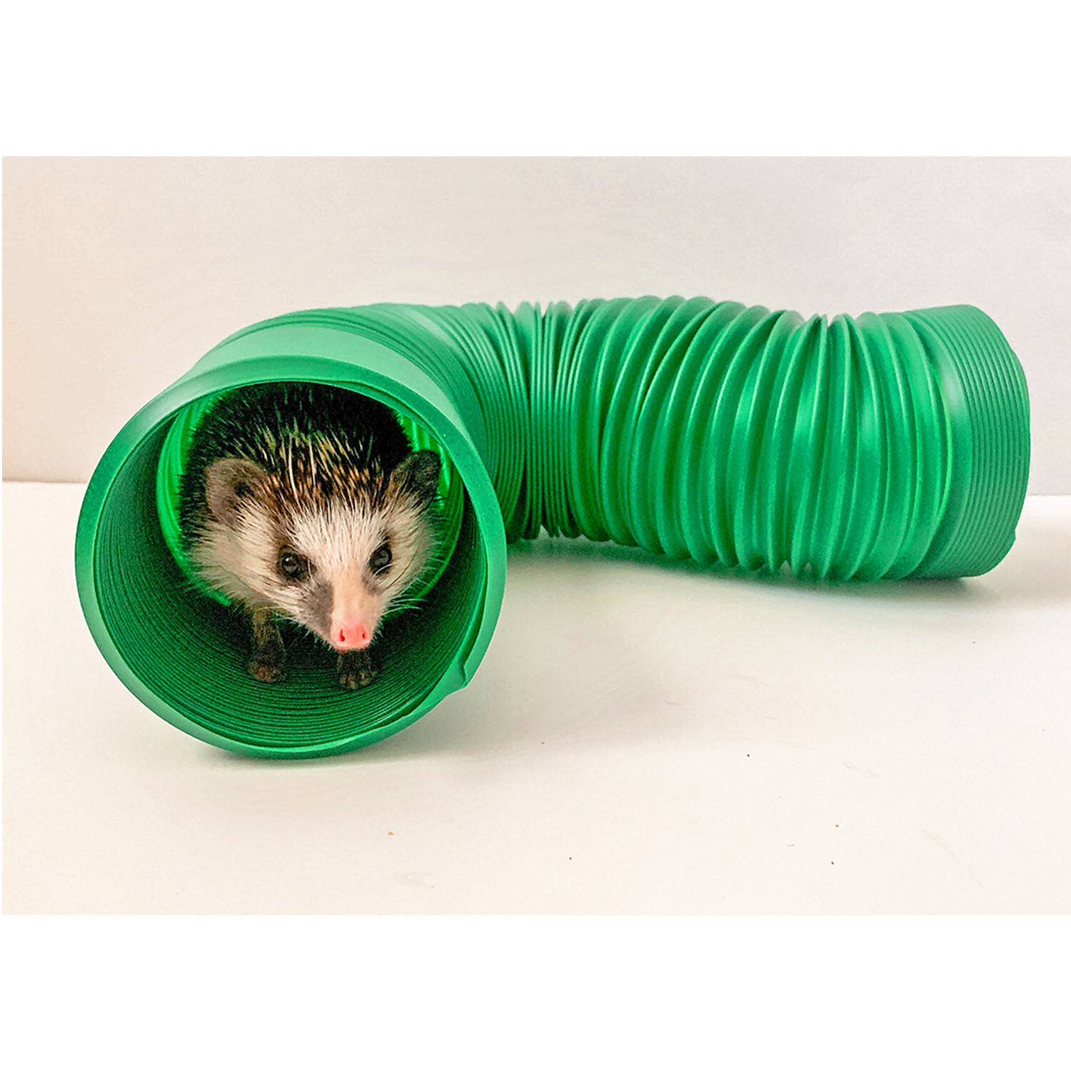 Xpand Tunnel - Cage Accessory - Sugar Glider, Hedgehog, Rat, Gerbil, Hamster