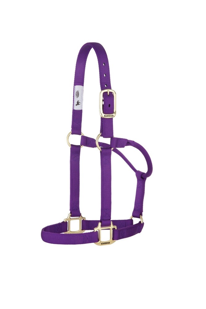 Original Non-Adjustable Halter , 1"  Purple