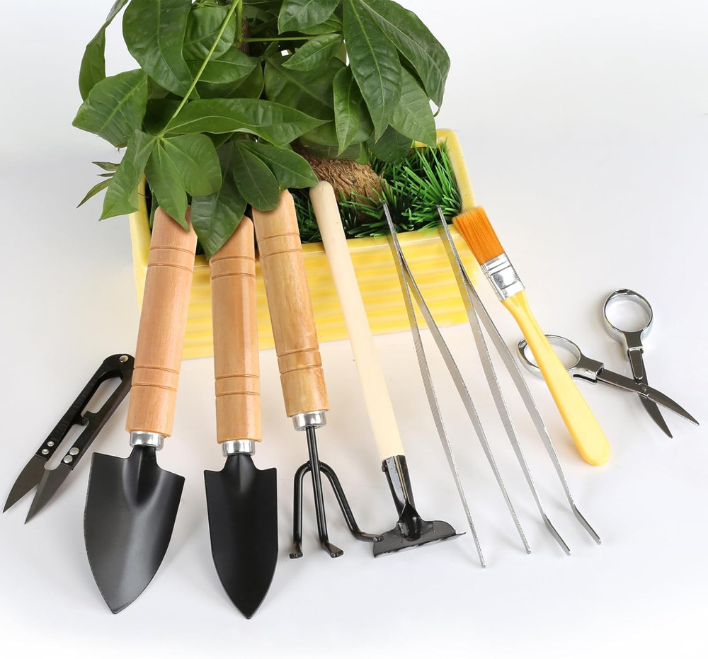 9PCS Basic Bonsai Tools Set, Bonsai Tree Kit Mini Garden Tools Includes Pruning
