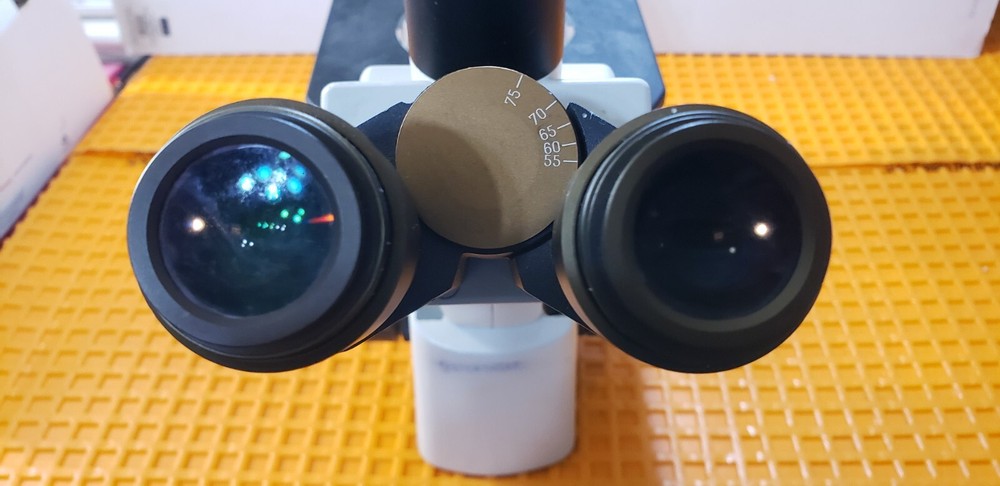 Motic AE31 Series Inverted Microscope with 3 Objectives