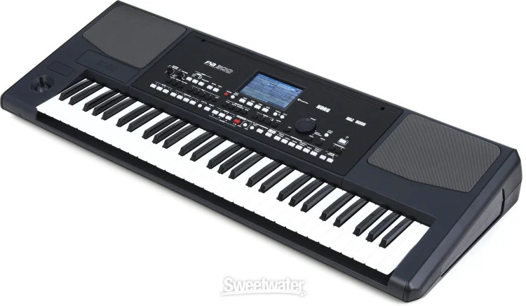 Korg Pa300 61-key Arranger Workstation