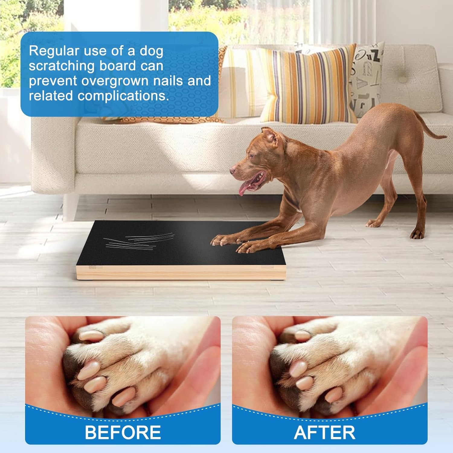 Dog Nail Scratch Pad with Sandpaper Filing Replacement Sandpapers Included