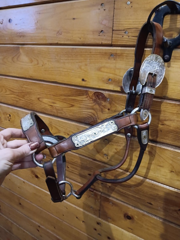 Silver Show halter