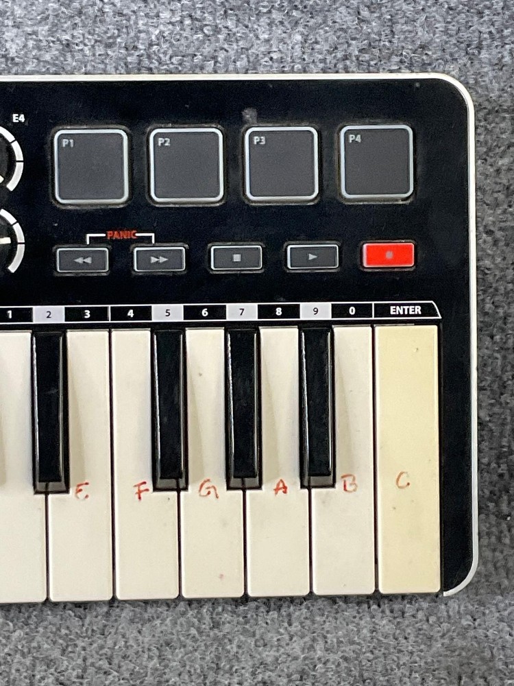 Samson Graphite M25 Mini USB MIDI Controller 25-Key Keyboard For PC/Mac