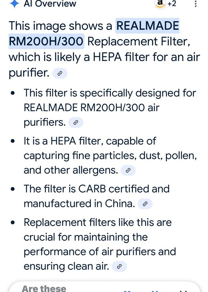 Realmade Replacement Filter For RM200H/300 Hepa Filter