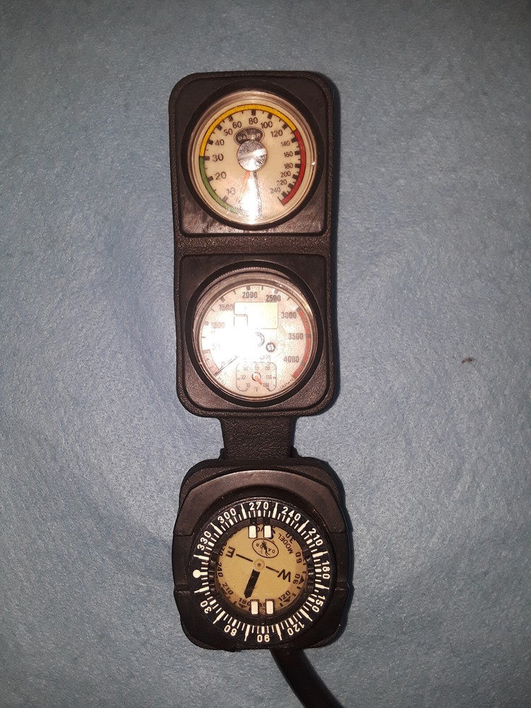 Used Dacor 2-Gauge Console with Compass