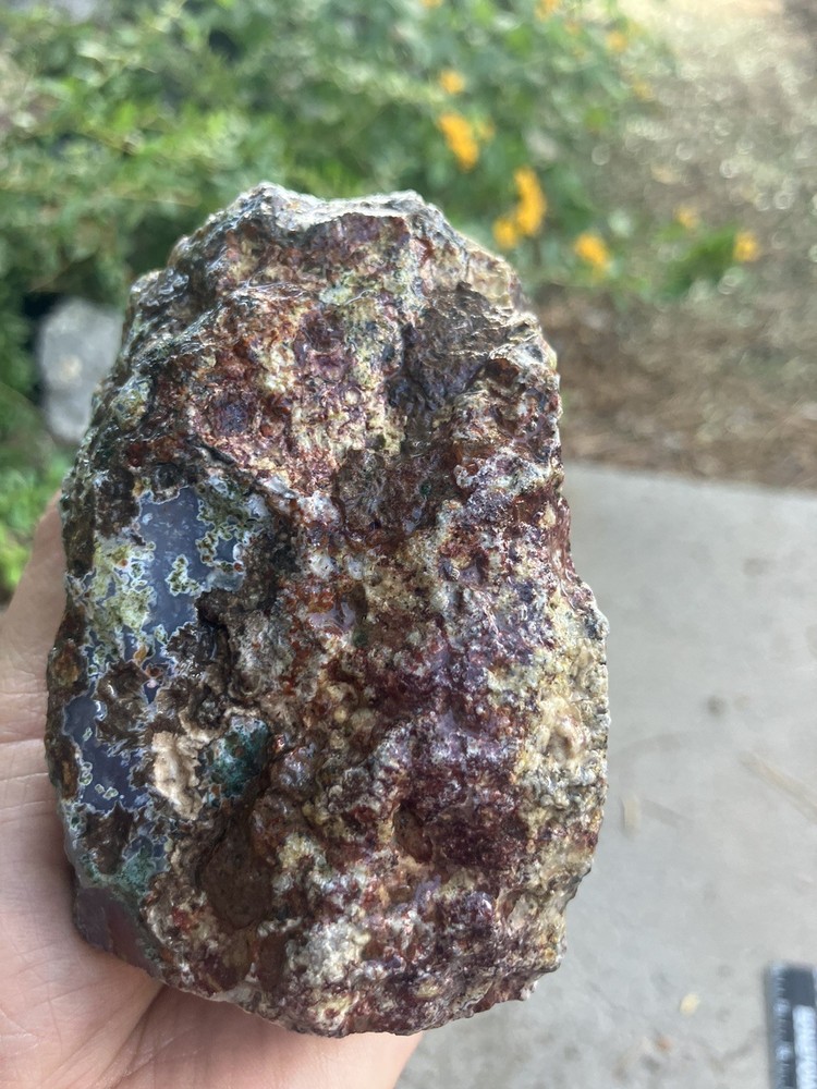 Laguna Agate Specimen (Rough)
