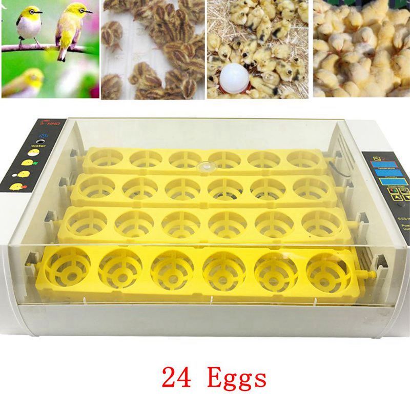4-24 Eggs Incubator Automatic Chicken Quail Hatcher Incubators for Hatching Eggs