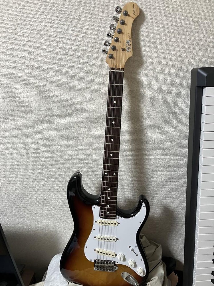 fujigen Stratocaster Type Safe Packing!