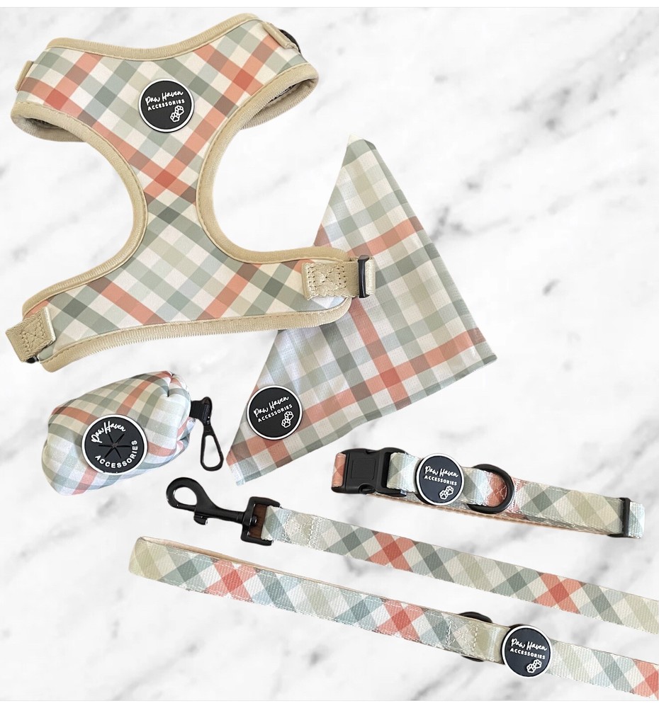 Vintage Dog harness and Set