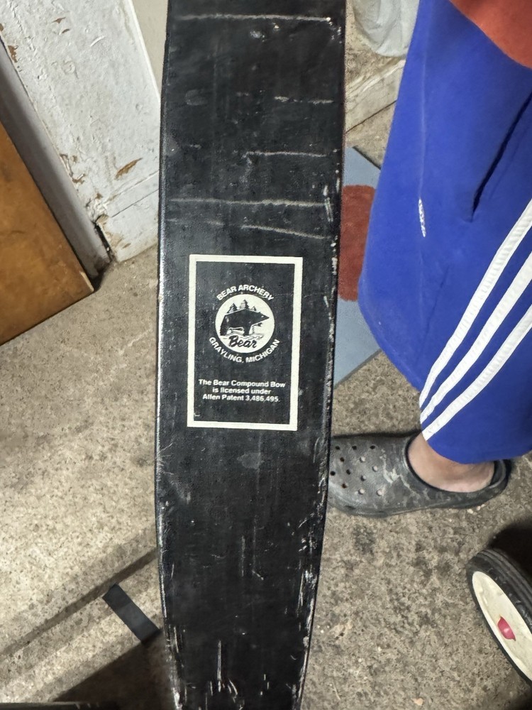 Polar Bear 2 Com Bow