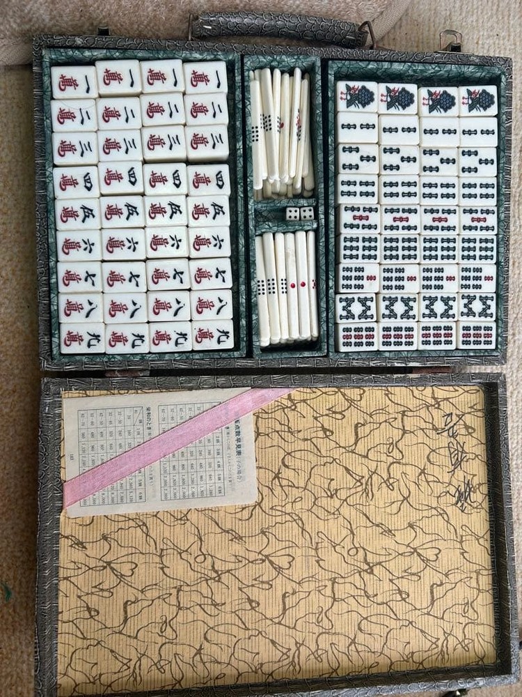 Mahjong tile set with crocodile pattern case