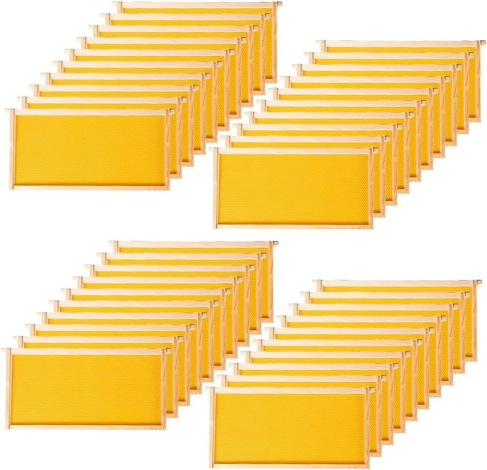 10 Pack Beehive Frames & Wax Foundations Deep Brood Bee Hives