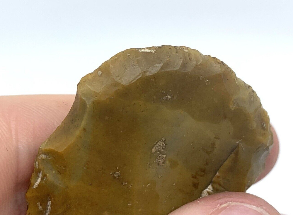 Authentic Scraper Flake Circular Stone Tool Neolithic European Origin