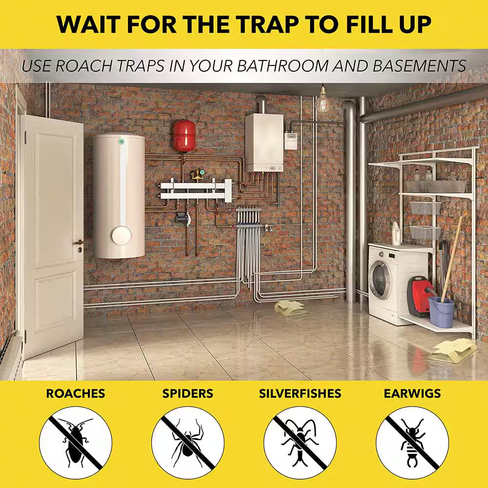 Roach Trap Value Pack