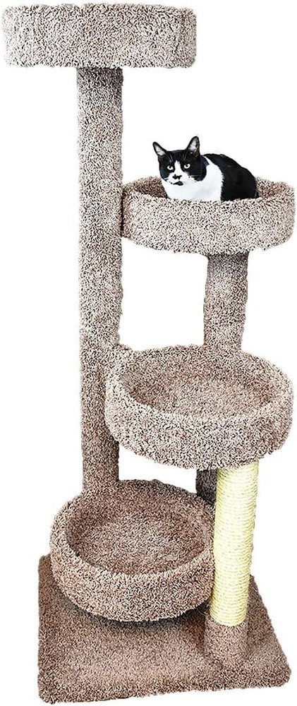 Cat Tree, Brown
