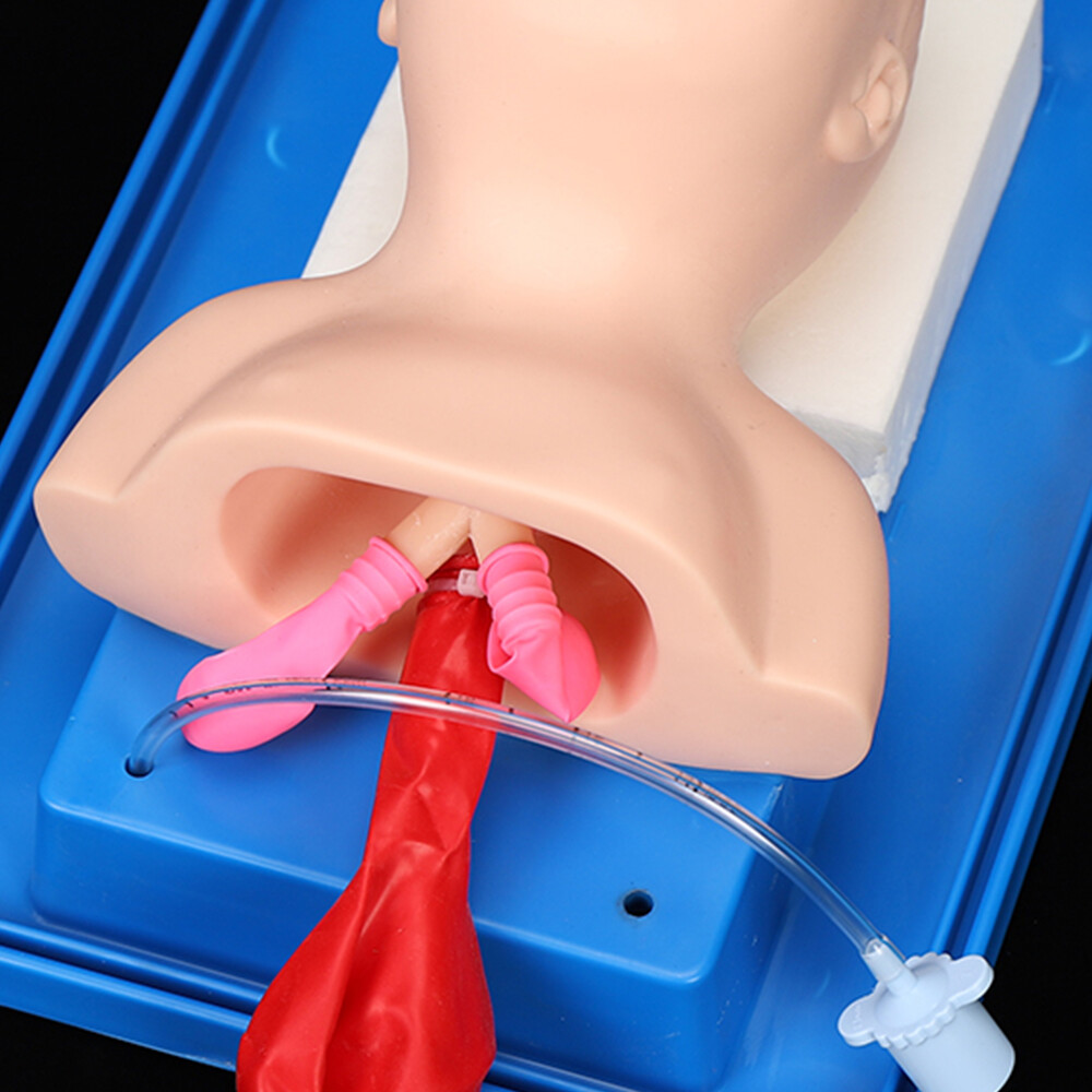 Intubation Manikin Study Baby Infant Teaching Airway Management Trainer Model