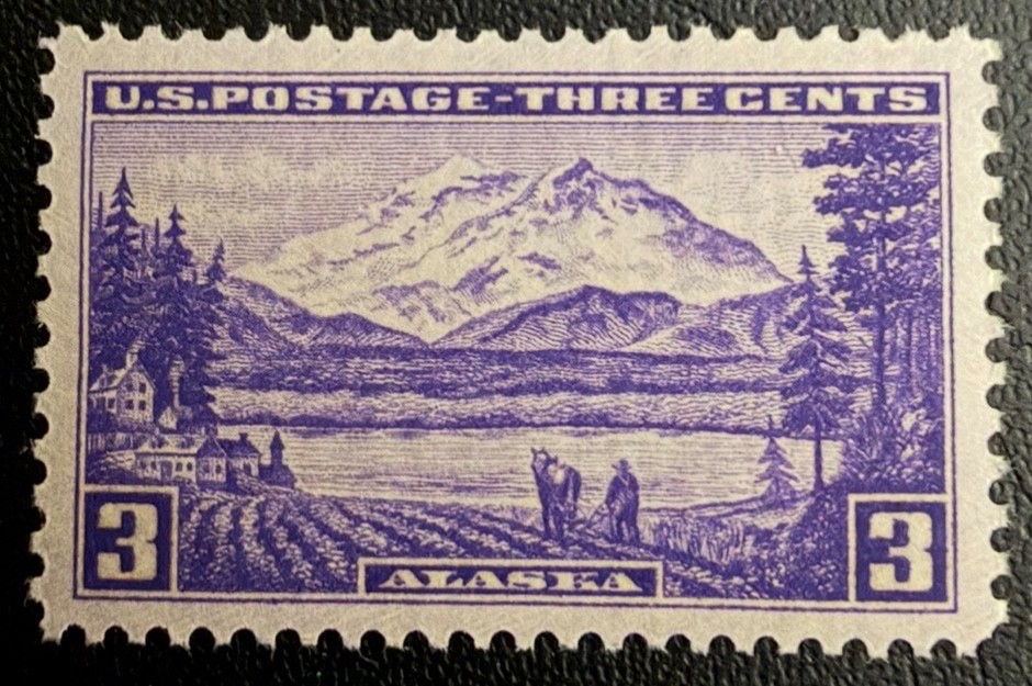 US Stamp #800 MNH-OG