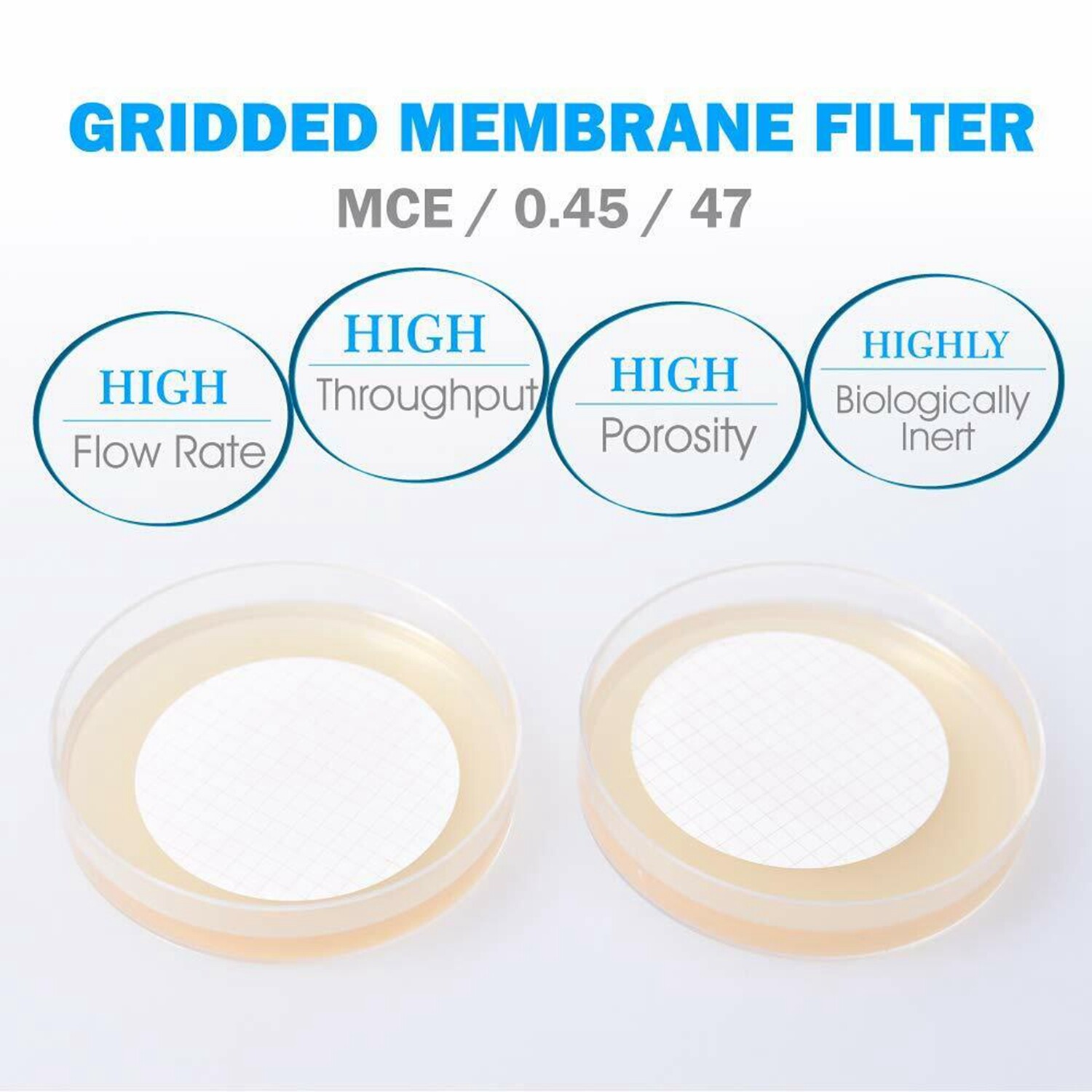 MCE Gridded Membrane Filters, 47mm Diameter, 0.22 um 0.45 μm Pore Size, STERILE
