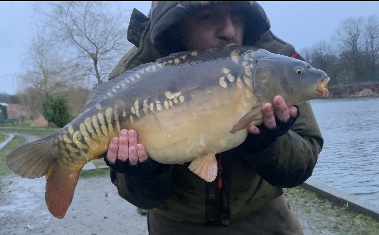 Ronnie Rigs / Spinner rigs x3 - Using Korda Components and a Nash Claw Hook