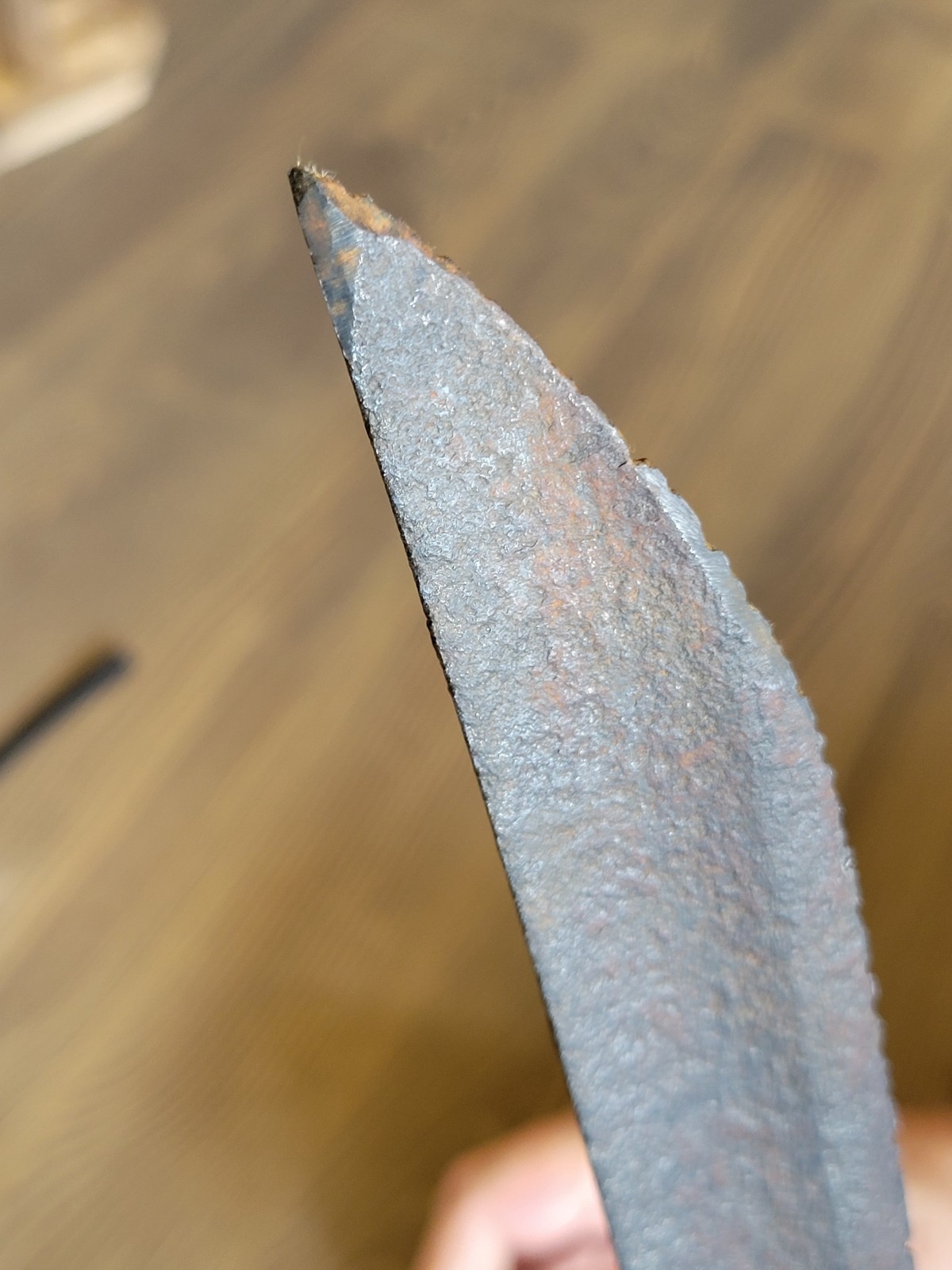 Napoleonic War-Civil War French Saber Cut-Down