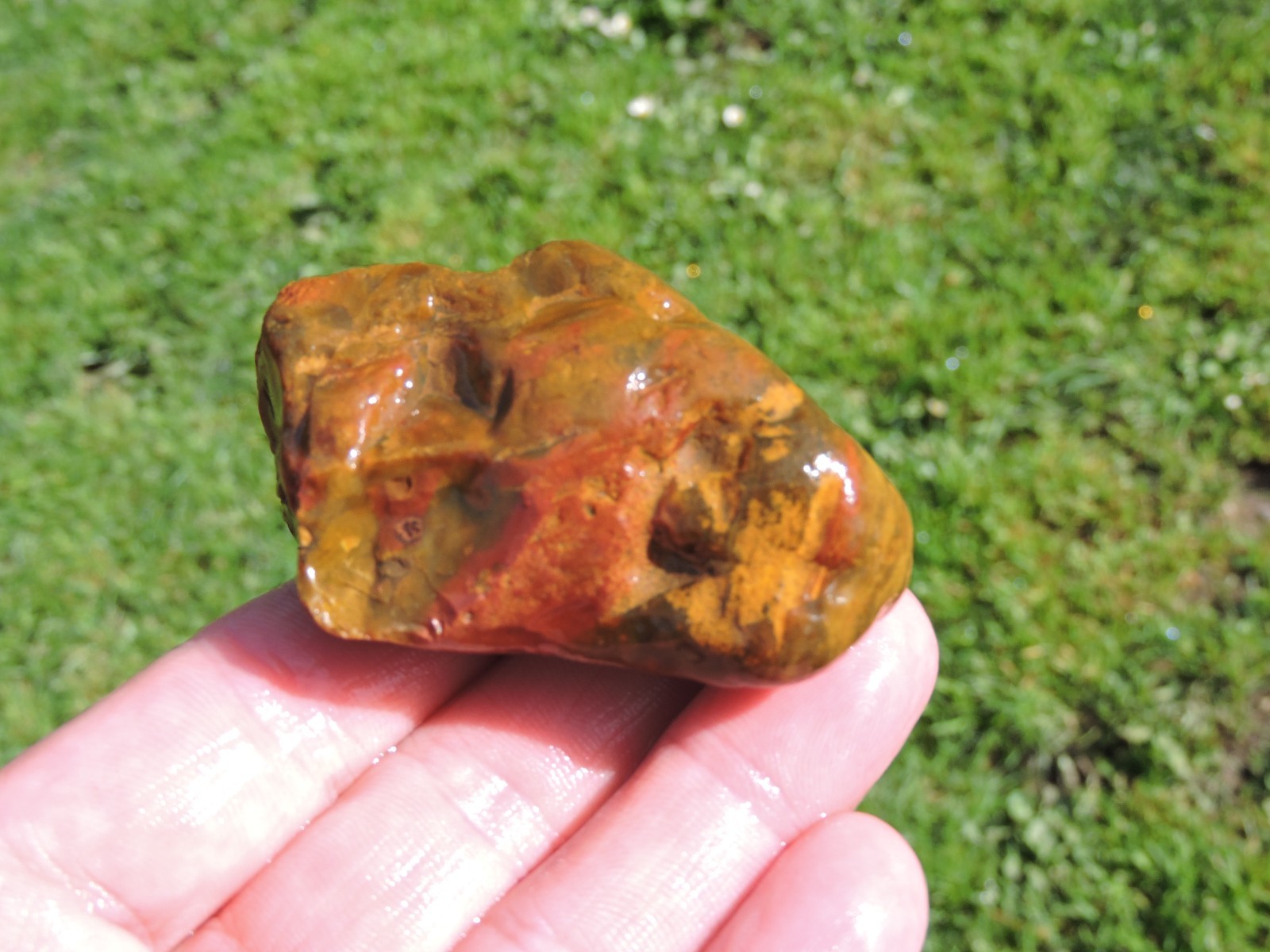 Lot of 🌈 Tumbler Size RAINBOW MIXED STONES from PNW (11.5 lbs) WEST COAST ROCKS