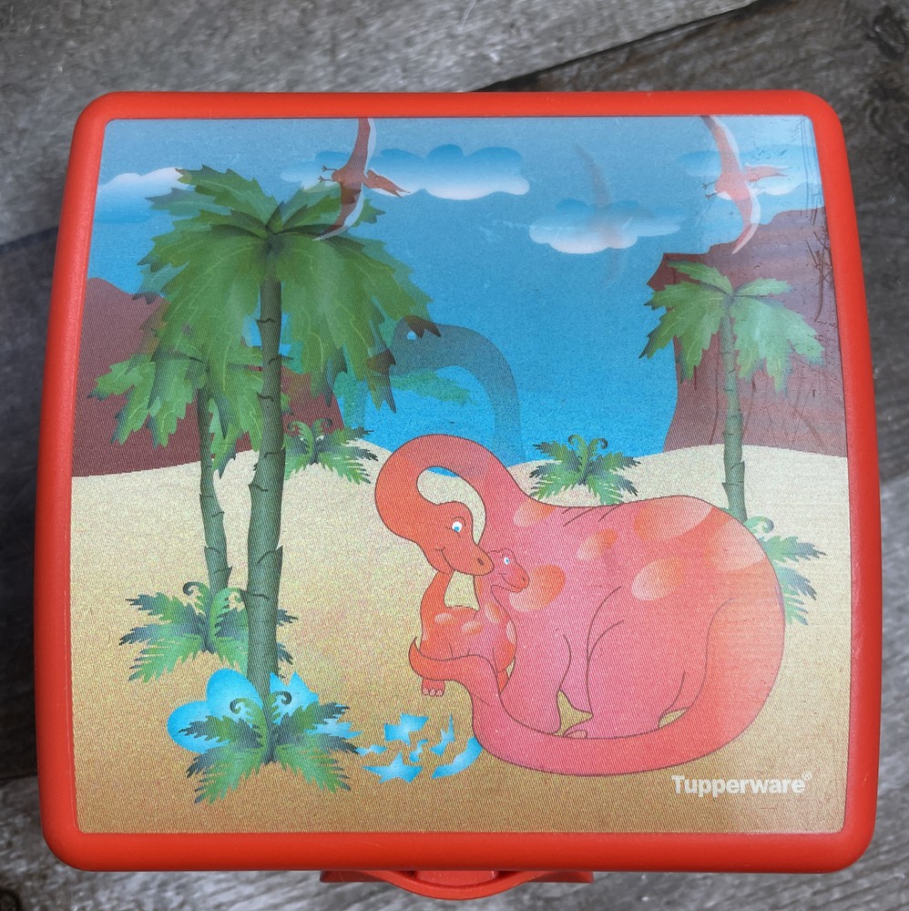 TUPPERWARE Hologram Dinosaurs Hinged Sandwich Keeper Container  Orange