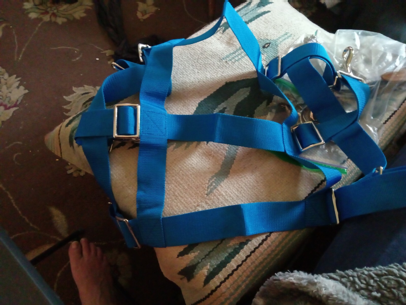 new nylon stall guard blue