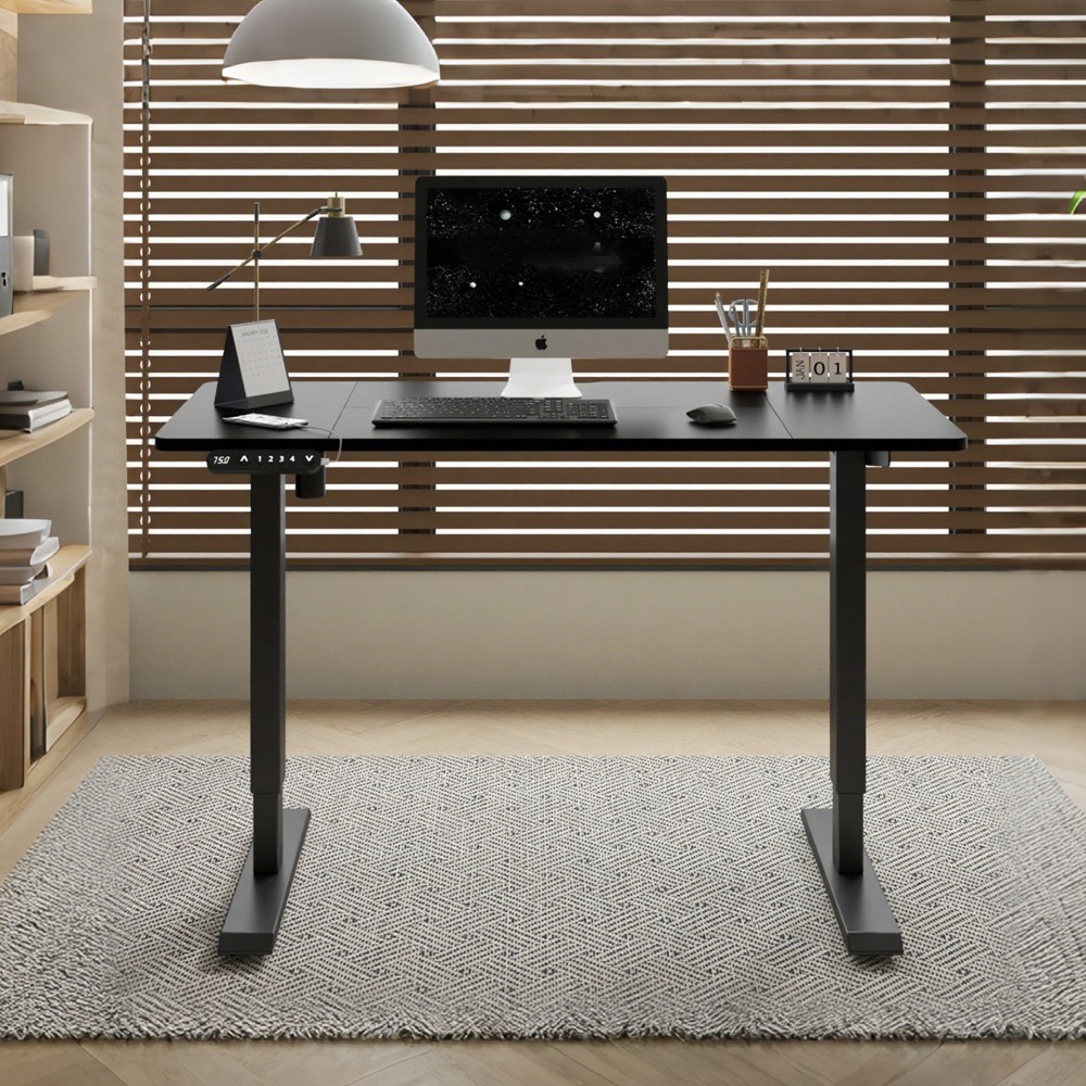 Modern Electric Standing Desk Height Adjustable Computer Desk Study Gaming Table