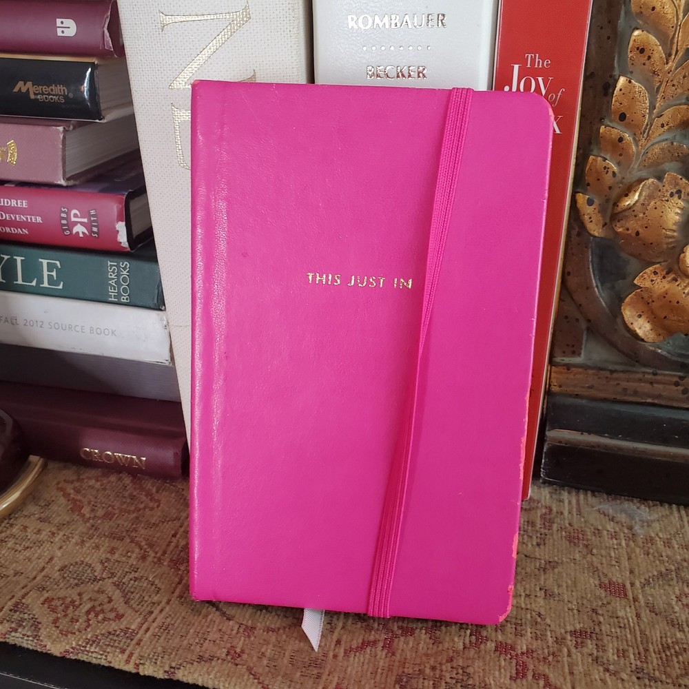 Kate Spade THIS JUST IN Lined Notebook Small Size Gold Edge Elastic Strap Damage