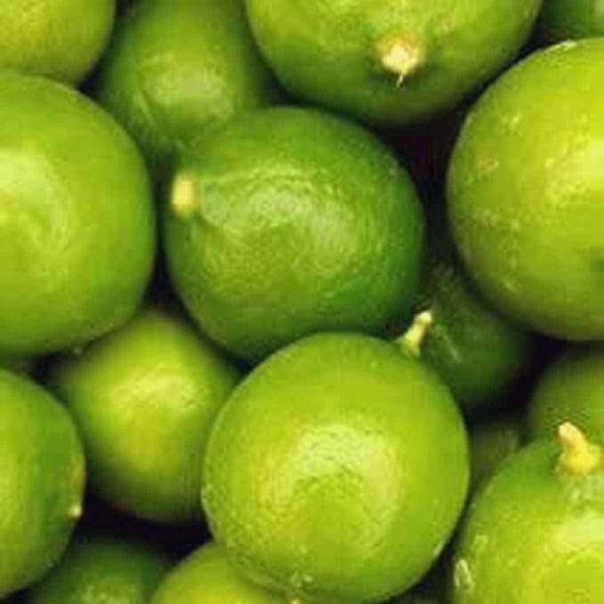 Fresh Key Limes 3 lbs