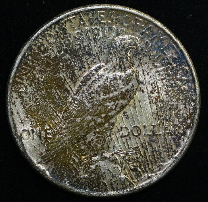 1925 Peace Dollar 90% Silver - Uncirculated TONED #D5