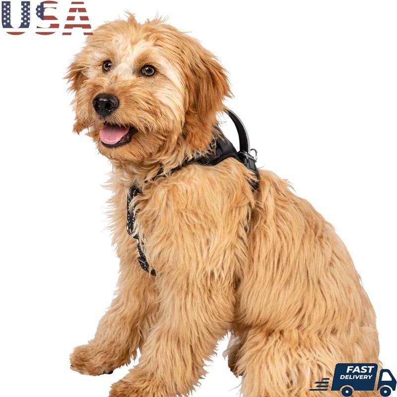 No Pull Dog Harness Reflective Adjustable Comfort Control Harness Walking New