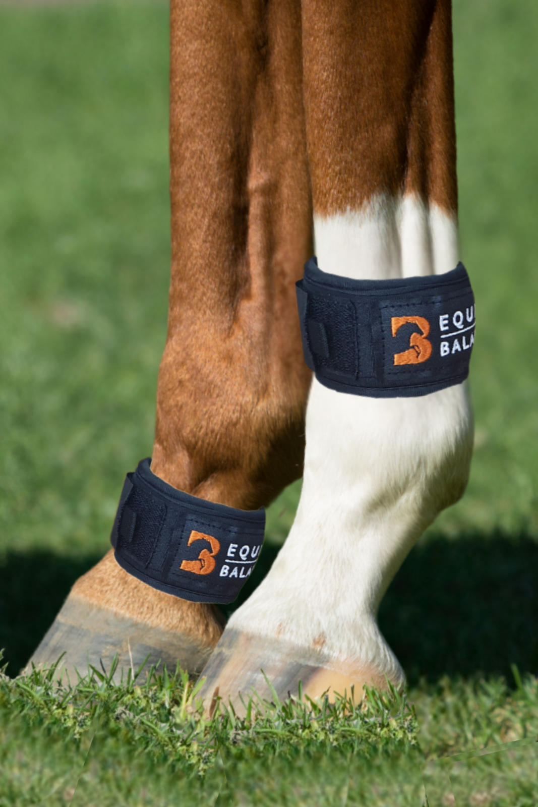 Magnetic Therapy Pastern Wraps Leg Bands for Horses and Ponies